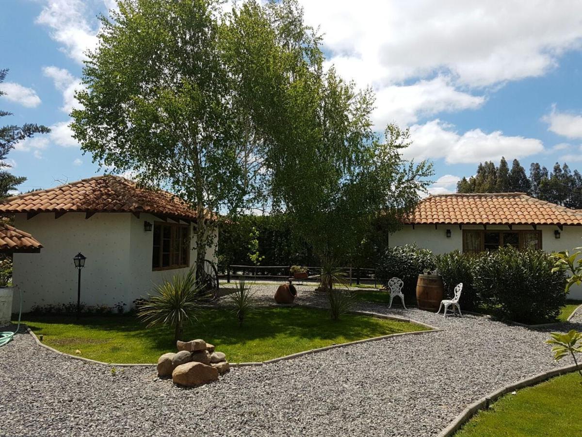 Tierra & Vino Best Price Colchagua Alojamento