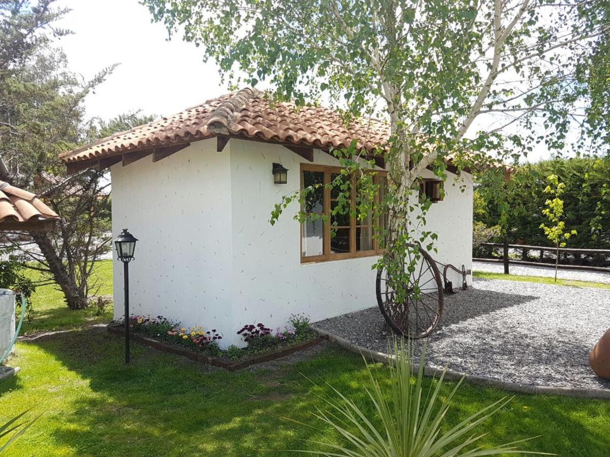 Tierra & Vino Best Price Colchagua